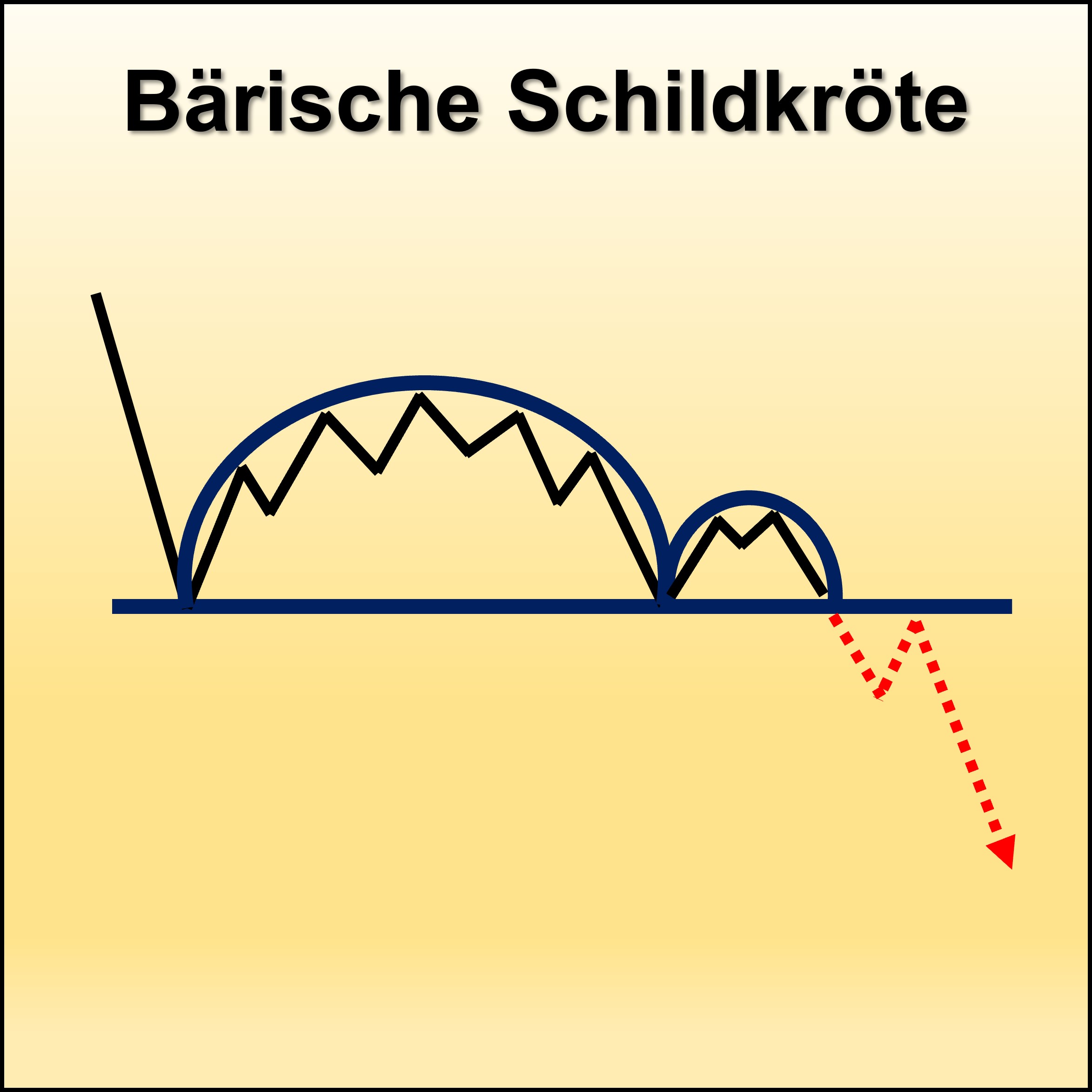 Technisch Pattern81